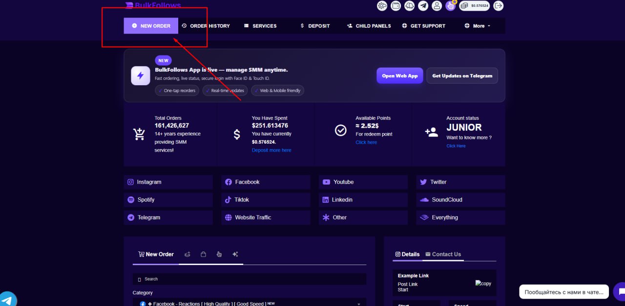 BulkFollows — интерфейс заказа